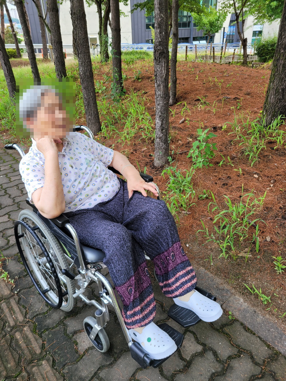 7월 19일 _ 산책 2탄^^